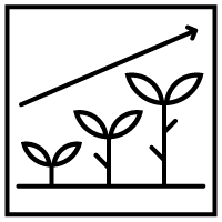 Accelera la tua crescita